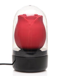 Bloomgasm Enchanted Rose Vibe - Red